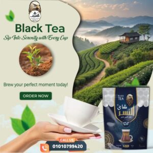 WhatsApp Image 2025 08 17 at 13.45.27