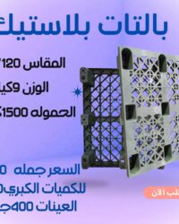 WhatsApp Image 2025 09 04 at 11.19.18 1