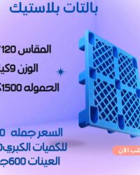 WhatsApp Image 2025 09 04 at 11.19.18