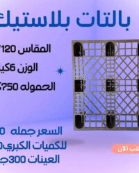 WhatsApp Image 2025 09 04 at 11.19.19 1