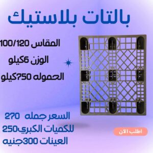 WhatsApp Image 2025 09 04 at 11.19.19 1