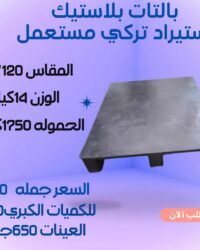 WhatsApp Image 2025 09 04 at 11.19.19