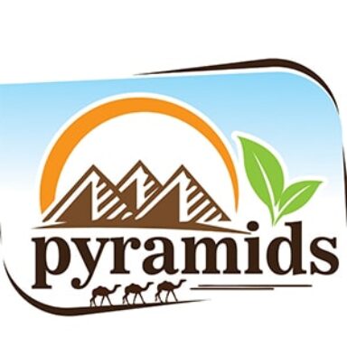 شركه بيراميدز فود للتجارة