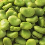 فول أخضر مجمد