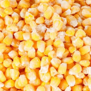 Frozen corn