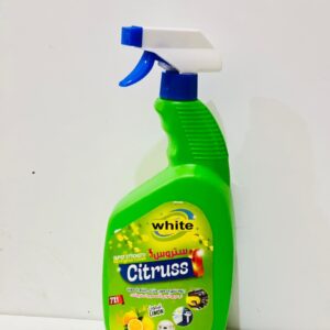 WhatsApp Image 2025 09 21 at 13.58.16 1