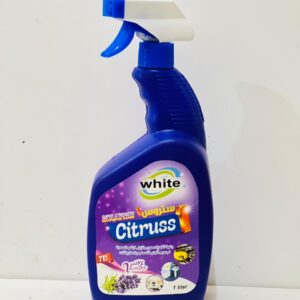 WhatsApp Image 2025 09 21 at 13.58.16 2