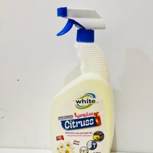 WhatsApp Image 2025 09 21 at 13.58.16 3