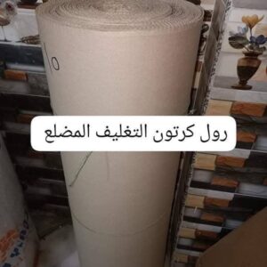 WhatsApp Image 2025 10 26 at 00.27.12