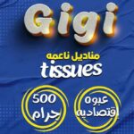 مصنع جيجى للورقيات