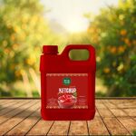 كاتشب فريش 1 كيلو