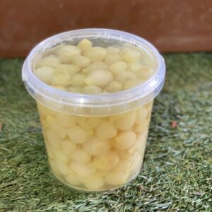 WhatsApp Image 2025 12 26 at 13.34.31