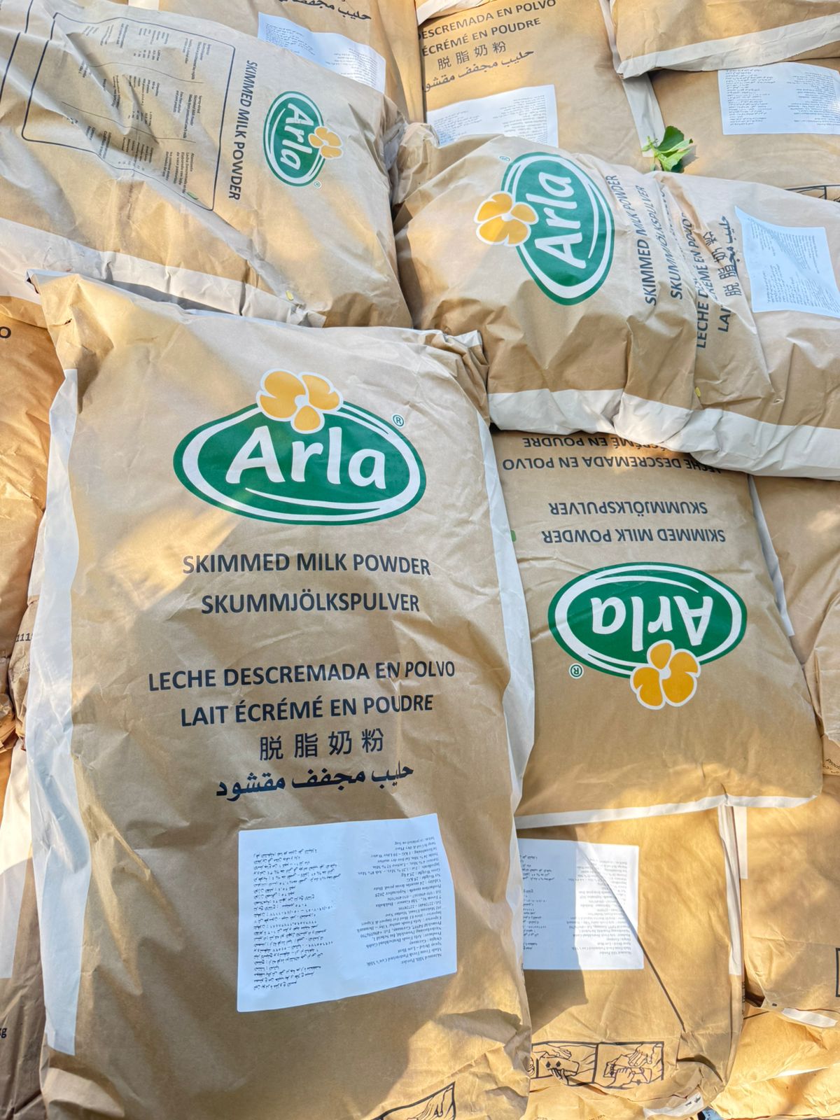 WhatsApp Image 2026-01-26 at 19.29.12 (2) شكارة لبن ارلا كامل الدسم - الصورة 1