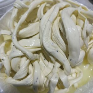 WhatsApp Image 2026 02 07 at 14.15.30