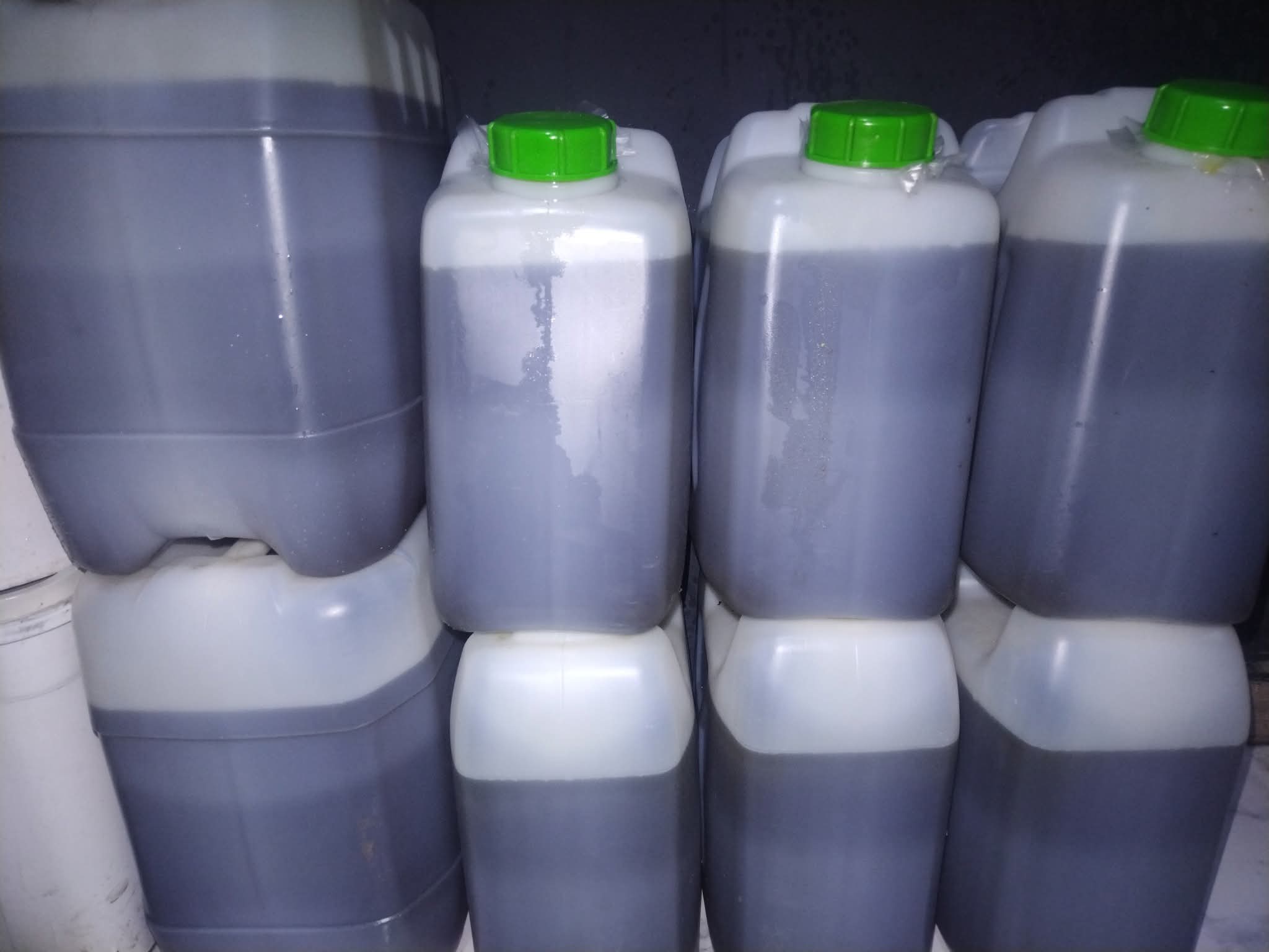 WhatsApp Image 2026-02-07 at 14.19.12 10 × السمسم - الصورة 1