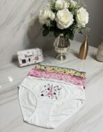 ⁦1 دستة × اندر حريمي ميكس قطن 95% . 5% ليكرا⁩ - الصورة ⁦2⁩