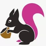 شركه بري ديزاين