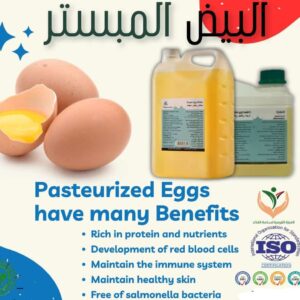 بيض مبستر سائل للتصدير