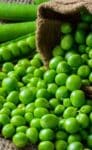بسلة IQF