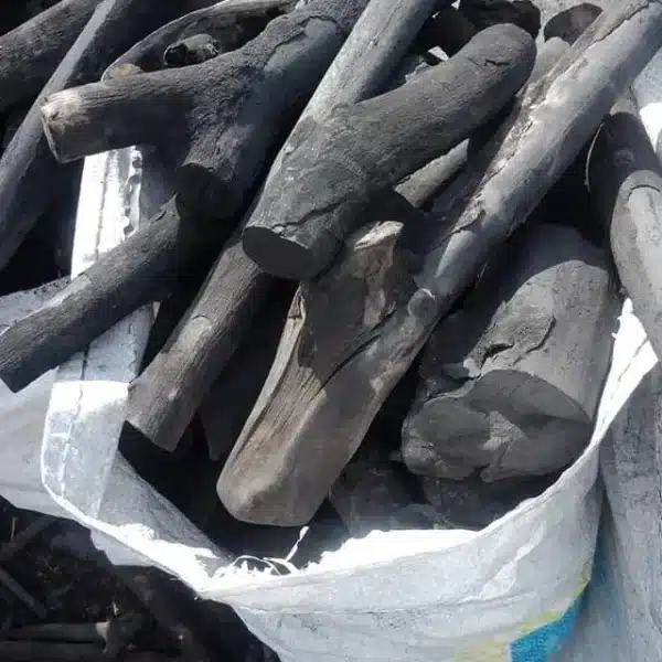 فحم بلدي