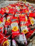 لب عباد شمس هجين - 300 كرتون